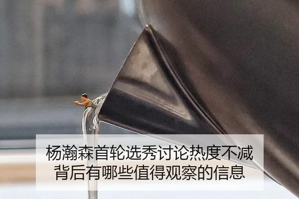 yang-han-sen-shou-lun-xuan-xiu-tao-lun-re-du-bu-jian-bei-hou-you-na-xie-zhi-de-guan-cha-de-xin-xi-2-566.jpg